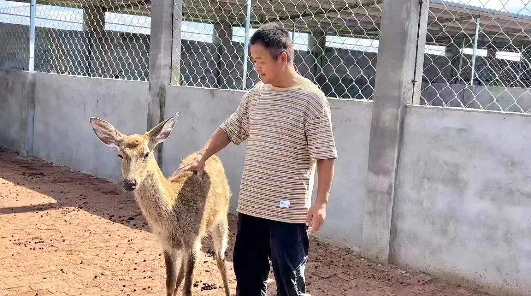 抖喵酱轮盘游戏